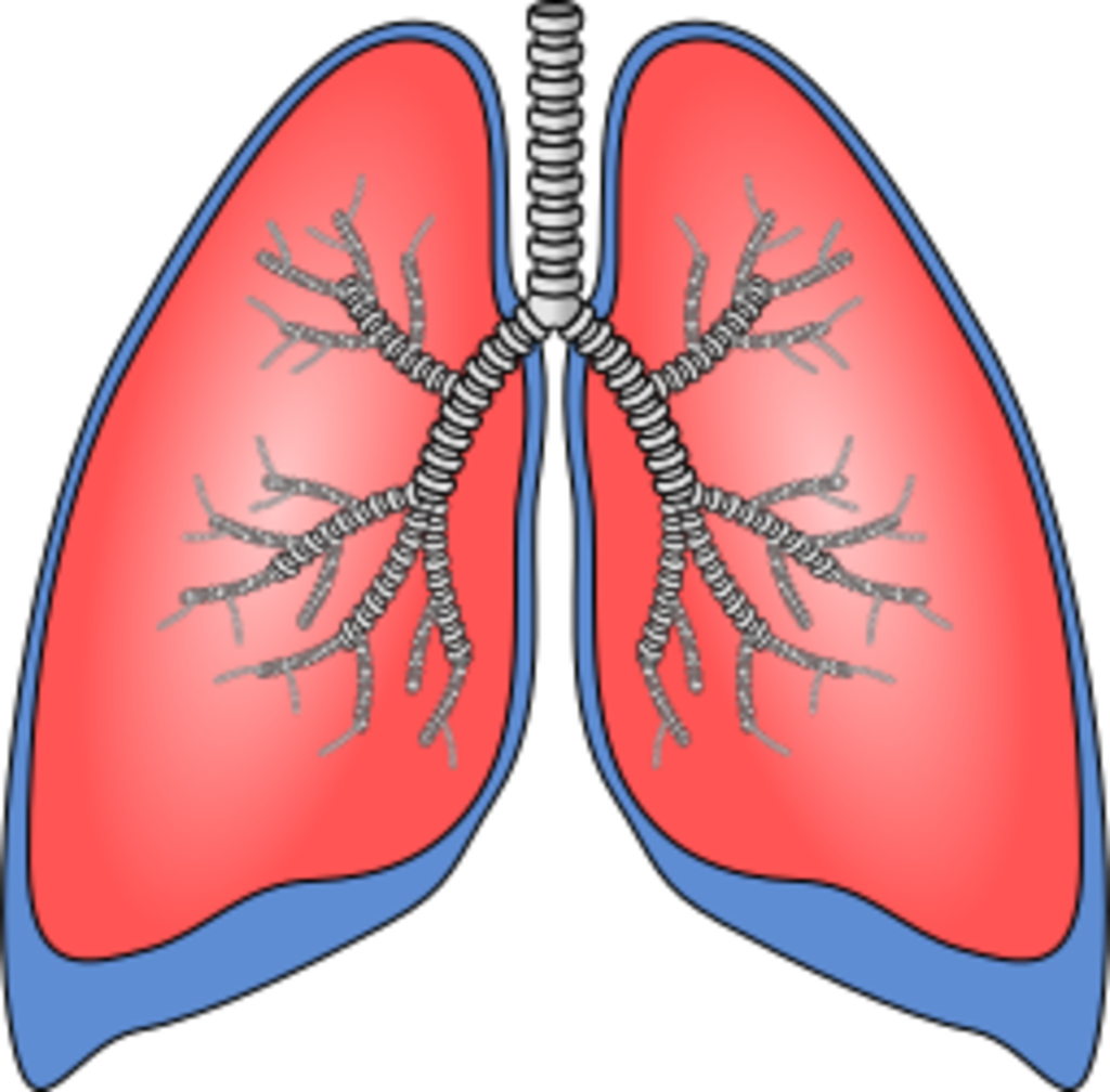 COPD-Symptomtagebuch Logo